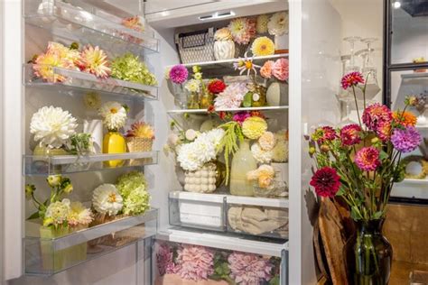 does keeping flowers in the refrigerator spark unconventional ideas about preserving beauty and prolonging life—a literary exploration