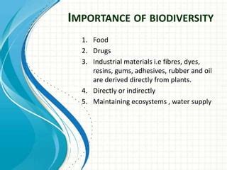 how to preserve flowers with resin and the importance of biodiversity