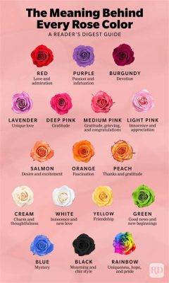 What Color Flowers for Anniversary: Delving into the Symbolism and Personal Preferences Behind Floral Choices