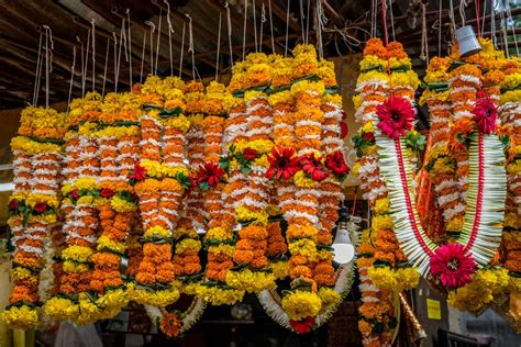 where can i buy marigold flowers and the cultural significance they hold across various civilizations